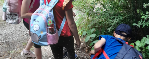 Lubimy kontakt z przyrodą